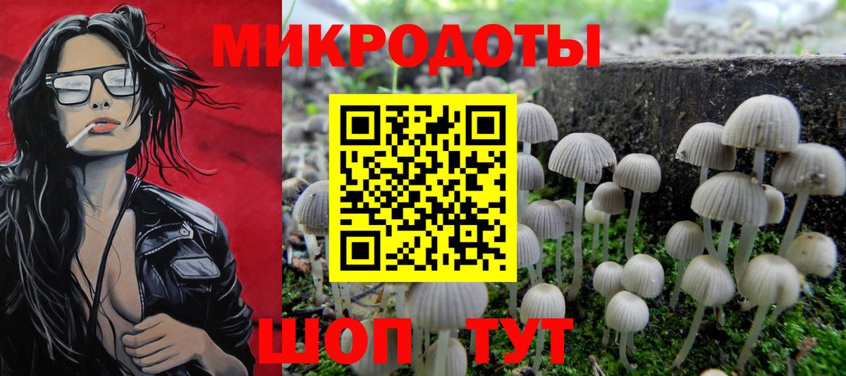 Галлюциногенные грибы GOLDEN TEACHER Партизанск