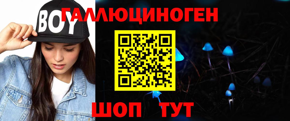 Партизанск  Псилоцибиновые грибы мицелий  Вход с VPN  Псилоцибиновые грибы мухоморы 